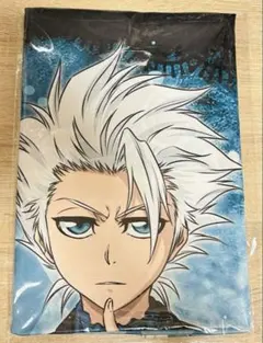 日番谷冬獅郎 BLEACH 100cm タペストリー 等身大 ブロマイド付 希少
