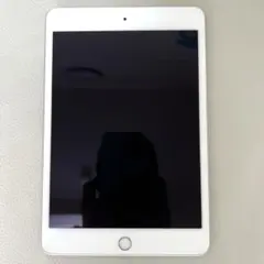 ★美品★iPad mini5 第5世代 256GB Apple おまけ付き