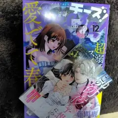 チーズ！ 12月号（最新号）