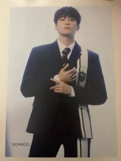 seventeen あいのちから　タワレコ　フライヤー　ステッカー　CD ウォヌ seventeen あいのちから タワレコ フライヤー ステッカー CD ウォヌ