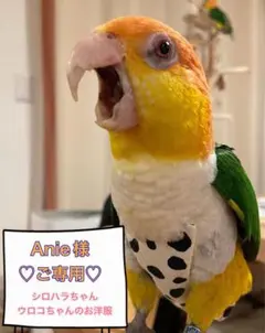 Item thumbnail for item fe15fc6a-c009-4dda-8442-60a2b8b4642a