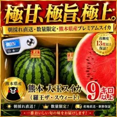 大玉！！熊本県産 羅王ザ・スウィート プレミアムスイカ 10kg以上