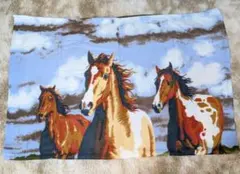 Item thumbnail for item c17357f9-fa80-4c77-83ff-6792989fabd1