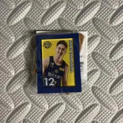 宇都宮ブレックス 高島紳司 選手ミニチュアアートイーゼル