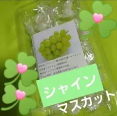 ご要望⭕ありがとうございます⭕ムラマツ製菓❤160g×24 Amazon.co.jp: 2個セット【ラムネボンボン】ムラマツ製菓 ラムネ