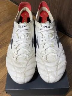 ミズノモレリアネオ III JAPAN 27.5