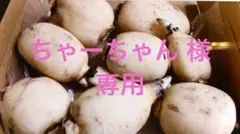 ちゃーちゃん 様専用