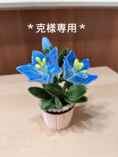 ＊克様専用＊　モールフラワー５点