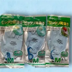 Item thumbnail for item a64c30b8-b2bb-4546-8b13-45530d38390f