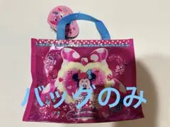ディズニーランド　ミニーパルパルーザ　バッグのみ