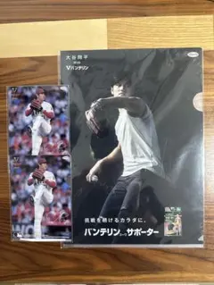 Item thumbnail for item 2115e613-0e79-43a5-9a31-41487b2e30f3