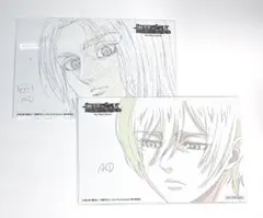 進撃の巨人　エレン　ミカサ　非売品ポストカード