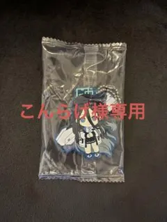 【こんらげ様専用】アリス