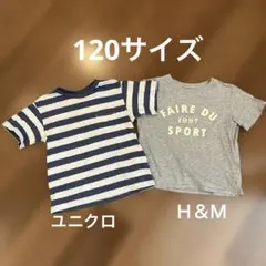 UNIQLO ボーダー柄 ブルー　グレー　半袖120cm 2枚セット　記名無し