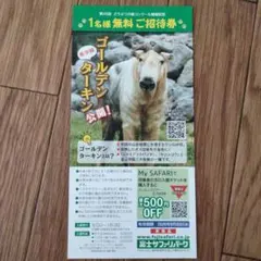 【速達可能】富士サファリパーク 大人1名無料券のサムネイル