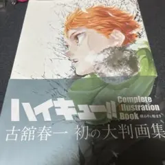 ハイキュー!! Complete Illustration Book