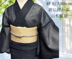 裄66cm 特選【夏の色無地】 フォーマル～カジュアルまで… 新品のお 