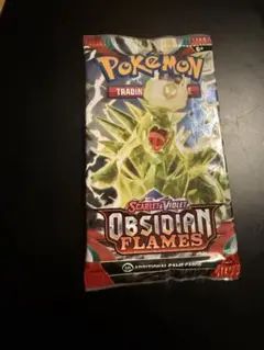 海外ポケモン