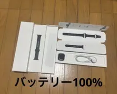 ［極美品］Apple Watch Series 8 ブラックバンド 本体