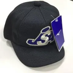 Item thumbnail for item 927f2b11-ddb3-4af1-968c-04737c146878