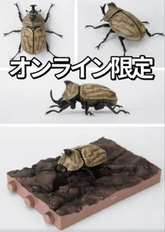 オンライン限定 かぶとむし１０ 樹皮台座（小）付き サビイロカブト