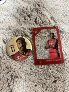 三遠ネオフェニックス　河田チリジ選手