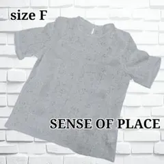 未使用 SENSE OF PLACE 総レース 半袖 ブラウス ホワイトのサムネイル