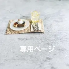 専用ページ♡