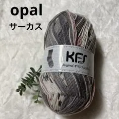 opal オパール毛糸 KFS オリジナルカラー 100g ソックヤーン
