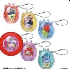 Tamagotchi Collectibles Hobby Time ふらわっち