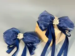 Item thumbnail for item 65282ccb-09ac-423d-8f58-cb0a498ba48d