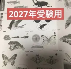 サピックス　動物カード　新品未使用！2027年受験用！最新版！！