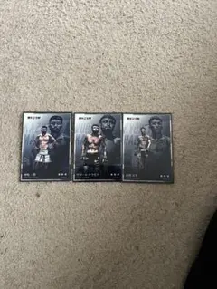 Item thumbnail for item 3628fb64-9d20-41c0-91b7-b0037d4ceddd