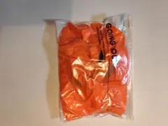 Item thumbnail for item 664456b3-8eb4-4f05-92e1-2e49fc720d31