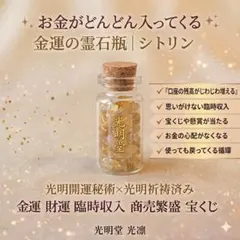 金龍神宿る大金運霊石 仕事運 財運 臨時収入 宝くじ高額当選 商売繁盛
