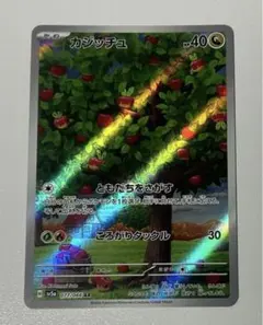ポケモンカード　カジッチュ AR
