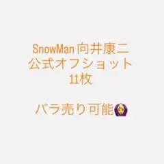 【美品・バラ売り可】SnowMan 向井康二 公式写真 11枚