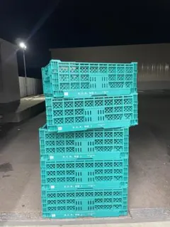 緑色プラスチックコンテナ5個セット