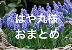 はや丸様 リクエスト 2点 まとめ商品