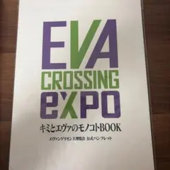 エヴァンゲリオン　 パンフレット 5冊セット Amazon.com: 新世紀エヴァンゲリオン：CVSコミックス版全巻1-5巻完結
