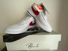 Item thumbnail for item 0ab1f2b3-529e-4106-89ab-88f3cb88329c