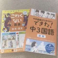 国語学習参考書2冊セット
