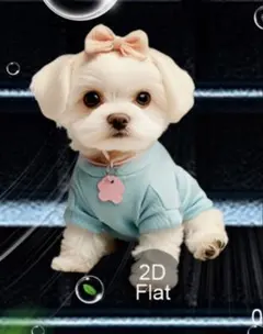 よこリン様 リクエスト 2点 まとめ商品