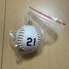 中日ドラゴンズ 金丸夢斗 サインボールキーチェーン 21