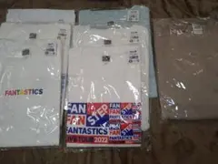 FANTASTICS ライブツアー TシャツMサイズとLサイズセット