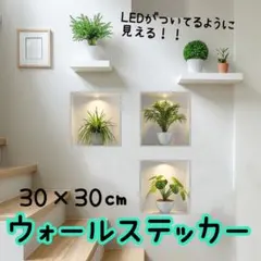 ウォールステッカー 壁紙 インテリア 壁飾り 観葉植物 リーフ シール 3枚