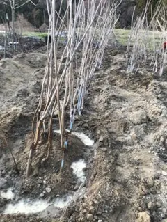 タツヤ様 リクエスト 2点 まとめ商品