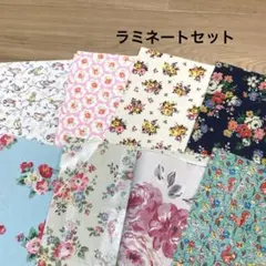 キャスキッドソン生地　ラミネート