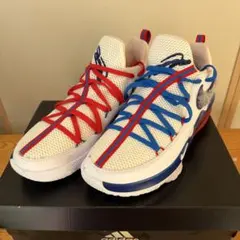 Nike Lebron 18 Low バスケットボールシューズ レブロン