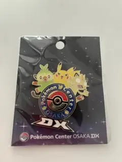 ポケモン わくわくサファリ ポケパーク ピンズ ピンバッジ